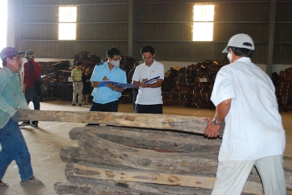 Timber import and export activities: Closely monitor 