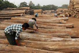 Malaysia mục tiêu xuất khẩu 16 tỷ USD gỗ năm 2020 