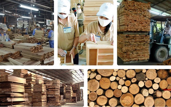 Difficulties and challenges for Vietnam's wood processing industry
