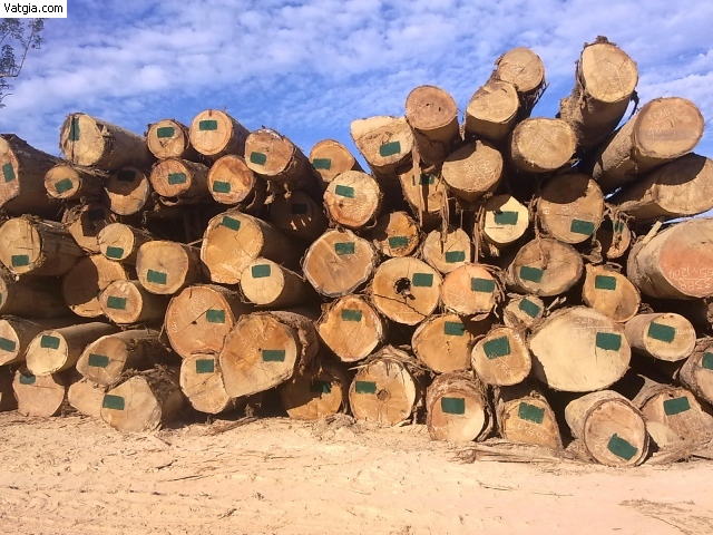 Oil Round Wood Laos