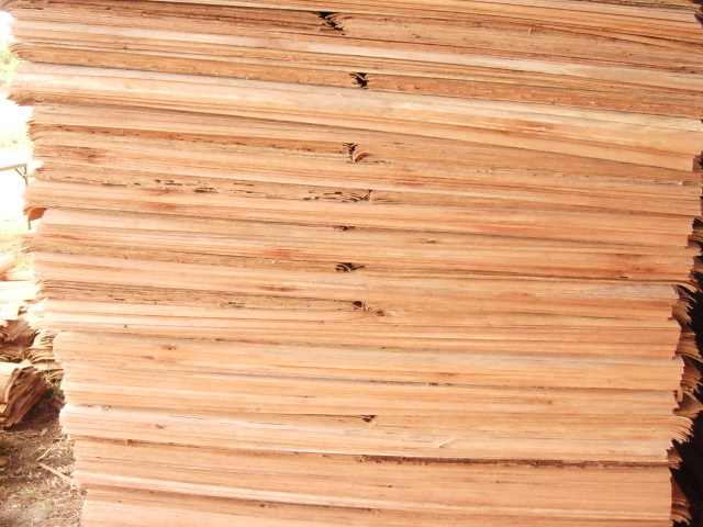 Oil wood veneer